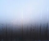 Fogged Windows & Why You Should Replace Them