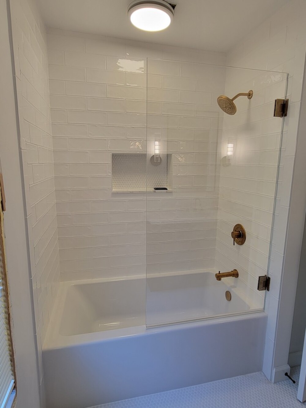 Euro Style Door Only over a tub